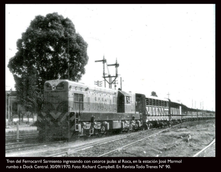 Último tren a Liniers: El mercado de Mataderos recibió grandes cantidades de ganado en ferrocarril incluso hasta 1990