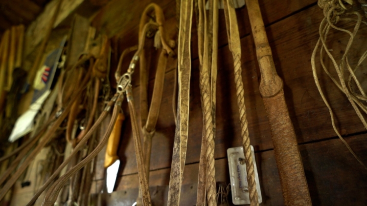 Valentín Verea de Rauch, soguero por vocación, trabaja como lo hacían los gauchos dos siglos atrás: “Por más explicación que tenga, uno lo tiene que ver”, asegura