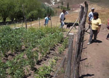 Los agricultores familiares, campesinos e indígenas también votan: Multiplican por tres los montos de los subsidios para el sector