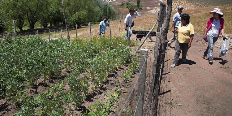 Los agricultores familiares, campesinos e indígenas también votan: Multiplican por tres los montos de los subsidios para el sector