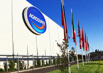 Agrosúper: La empresa chilena que usa maíz argentino para facturar 1000 millones de dólares por año produciendo y exportando cerdos