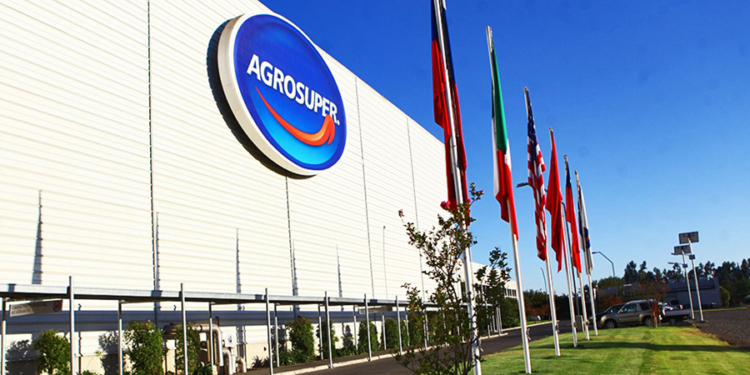 Agrosúper: La empresa chilena que usa maíz argentino para facturar 1000 millones de dólares por año produciendo y exportando cerdos