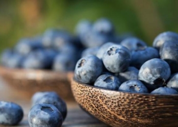 Hagamos un zoom: Los productores de frutas finas se ilusionan con mayores exportaciones hacia los países árabes