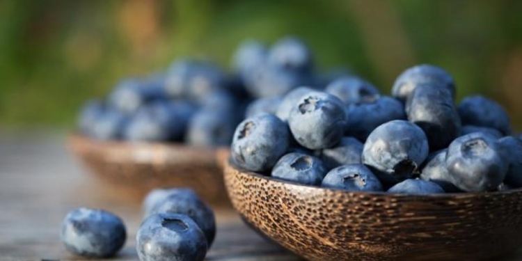 Hagamos un zoom: Los productores de frutas finas se ilusionan con mayores exportaciones hacia los países árabes