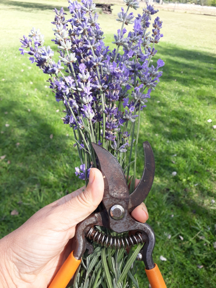 Fin de semana extra largo: Cuatro propuestas de turismo en el campo y un retiro de Tantra en la ciudad