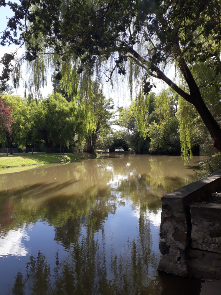 Fin de semana extra largo: Cuatro propuestas de turismo en el campo y un retiro de Tantra en la ciudad