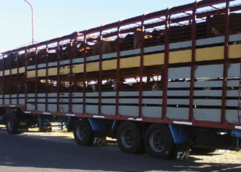 ¿El pez gordo? El ex dueño de la empresa GAEC SRL, que estafó a productores ganaderos con cheques sin fondo, fue detenido en La Pampa