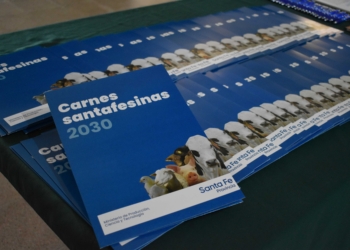 Carnes Santafesinas 2030: La provincia está ofreciendo distintas modalidades de financiamiento para los productores pecuarios