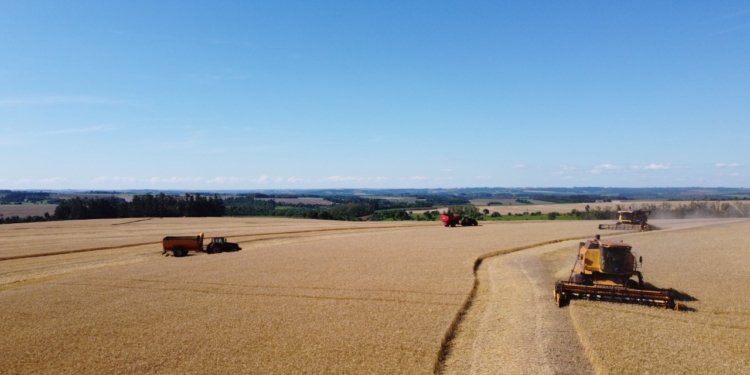 Se abren apuestas: ¿Cuánto tiempo tardará el gobierno en cerrar las exportaciones del trigo que todavía ni se cosechó?