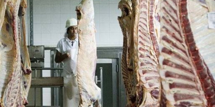 Sin exportaciones y con el consumo achatado, la Argentina sacrifica cada vez menos bovinos: Hasta septiembre la faena se achicó 7%