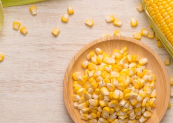 Mensaje del gobierno a la cadena del maíz: “Si te comiste todos los caramelos, ahora no te podés quejar”