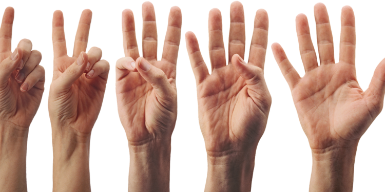 La comunidad agroalimentaria apoya la posición argentina en Glasgow, pero marcó 5 contradicciones en la estrategia para reducir emisiones