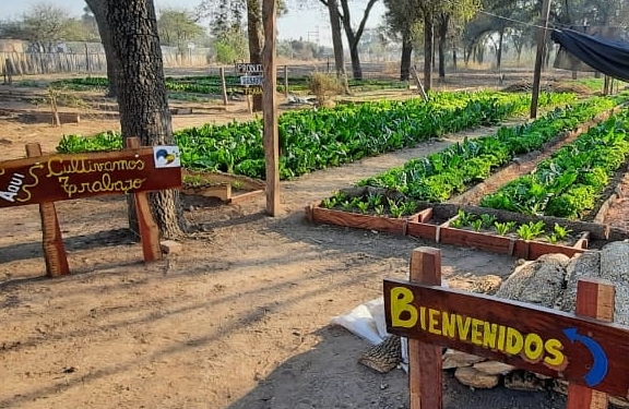 Dignamente: Una Fundación promueve en Santiago del Estero el trabajo agropecuario como herramienta de cambio