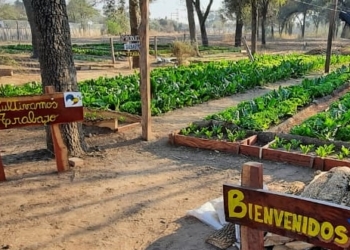 Dignamente: Una Fundación promueve en Santiago del Estero el trabajo agropecuario como herramienta de cambio