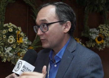 Con la vieja cosecha intervenida, Idígoras asegura que “la nueva campaña de maíz viene fluida y eso es muy importante porque genera certidumbre”