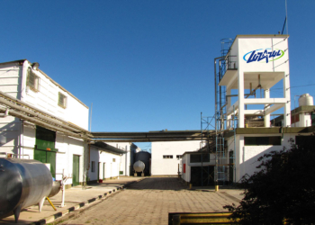 Agroempresas: Luz Azul, una láctea que gana terreno con las franquicias, planea invertir $ 80 millones