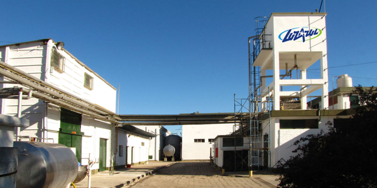 Agroempresas: Luz Azul, una láctea que gana terreno con las franquicias, planea invertir $ 80 millones