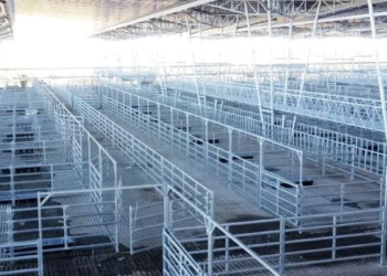 Que se corra el telón: En noviembre se harán los primeros remates “ensayo” en el nuevo Mercado de Cañuelas