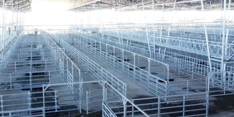 Que se corra el telón: En noviembre se harán los primeros remates “ensayo” en el nuevo Mercado de Cañuelas