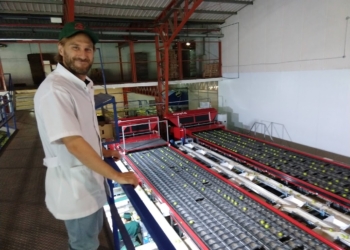 En el Alto Valle, Kleppe anuncia inversiones en malla antigranizo y para multiplicar su producción de cerezas