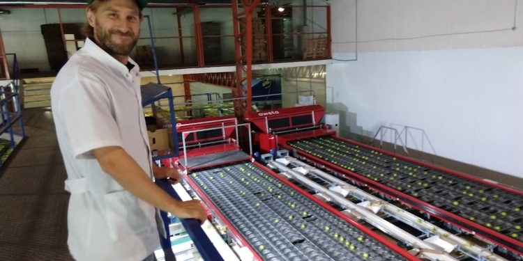 En el Alto Valle, Kleppe anuncia inversiones en malla antigranizo y para multiplicar su producción de cerezas