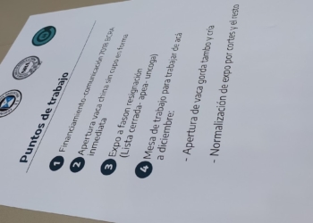 Mientras se demora la apertura de la vaca conserva para China, los frigoríficos acumulan stock y los ganaderos ven caer sus ingresos