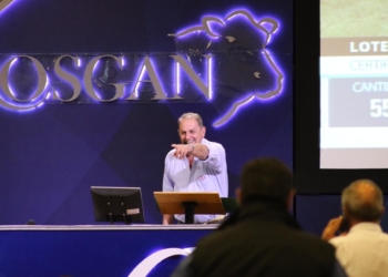 Olla a presión en el mercado ganadero: La carne y la hacienda de consumo están planchadas, pero debajo pasan cosas