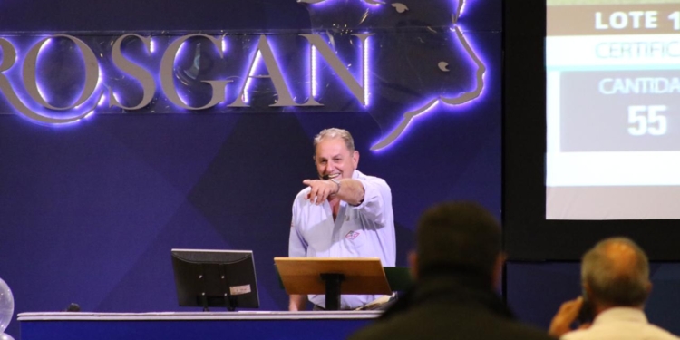 Olla a presión en el mercado ganadero: La carne y la hacienda de consumo están planchadas, pero debajo pasan cosas