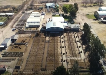 Una sociedad rural cumplió 75 años y para festejarlo invitó a sus socios a reflexionar sobre el gremialismo agropecuario