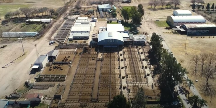 Una sociedad rural cumplió 75 años y para festejarlo invitó a sus socios a reflexionar sobre el gremialismo agropecuario