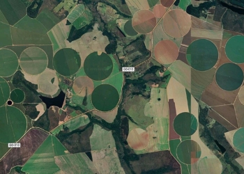 Treinta años de mapeo satelital muestran el formidable salto de las siembras en Brasil: Solo la superficie con soja ocupa más espacio que Italia