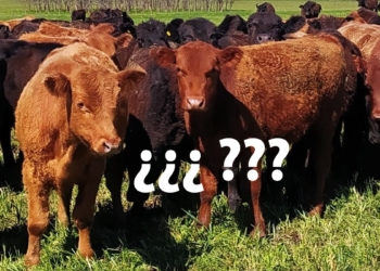 ¿Para qué le serviría a un ganadero la nueva ley de fomento agroindustrial si llegara a aprobarse?