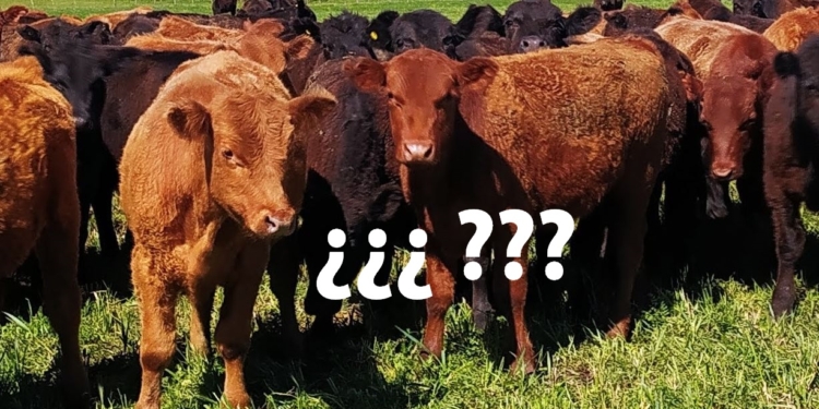 ¿Para qué le serviría a un ganadero la nueva ley de fomento agroindustrial si llegara a aprobarse?