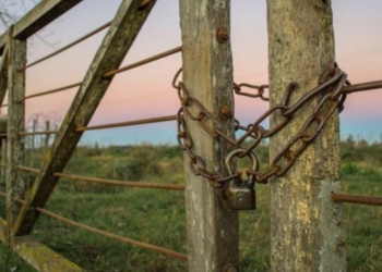 No solo mapuches: Cinco rostros y cinco historias que denuncian que el problema de las usurpaciones de campos también es grave en el norte del país