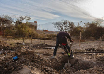 Terrible dato mata relato: Afirman que solo 1 a 3% de los adolescentes que trabajan en el campo lo hace de modo “registrado”