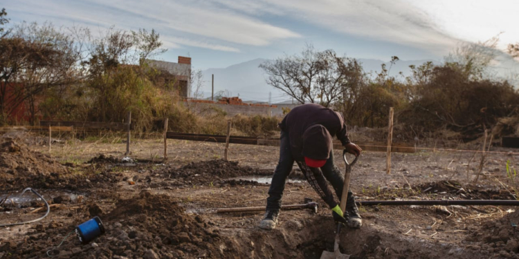Terrible dato mata relato: Afirman que solo 1 a 3% de los adolescentes que trabajan en el campo lo hace de modo “registrado”