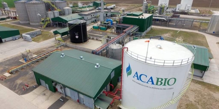 La industrialización de maíz argentino alcanzó una cifra récord gracias a la recuperación de la producción de bioetanol