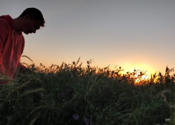 Cambio de paradigma: Cómo hicieron los Bombal para implementar un modelo agrícola regenerativo a una escala extensiva