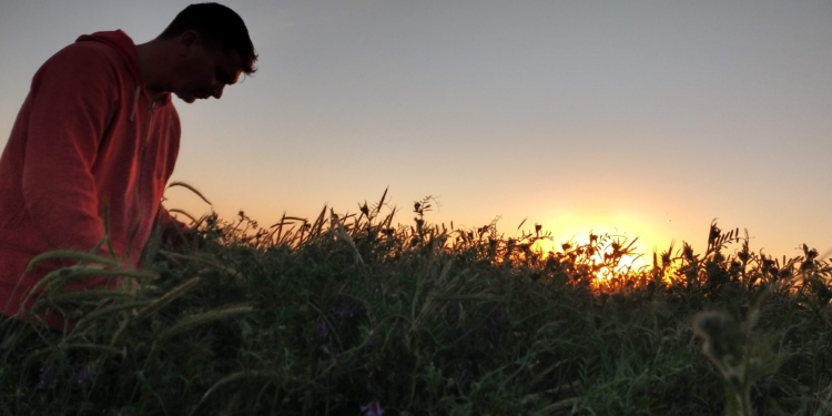 Cambio de paradigma: Cómo hicieron los Bombal para implementar un modelo agrícola regenerativo a una escala extensiva