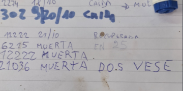 La historia detrás de la foto: El productor Juan de Pian encontró una vaca de tambo que “murió dos veces”