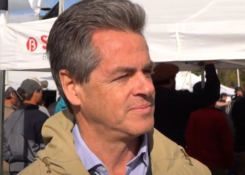 Candidato opositor en la Asociación de Criadores de Angus, Andrés Murchison nos explicó por qué es la raza bovina líder en el país