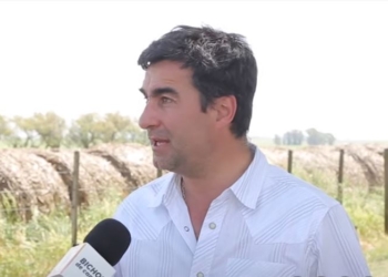 ¿Cómo producir más carne? Para el experto ganadero Darío Colombatto, es esencial recuperar la libertad del negocio para poder apuntar hacia animales más pesados