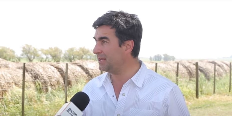 ¿Cómo producir más carne? Para el experto ganadero Darío Colombatto, es esencial recuperar la libertad del negocio para poder apuntar hacia animales más pesados