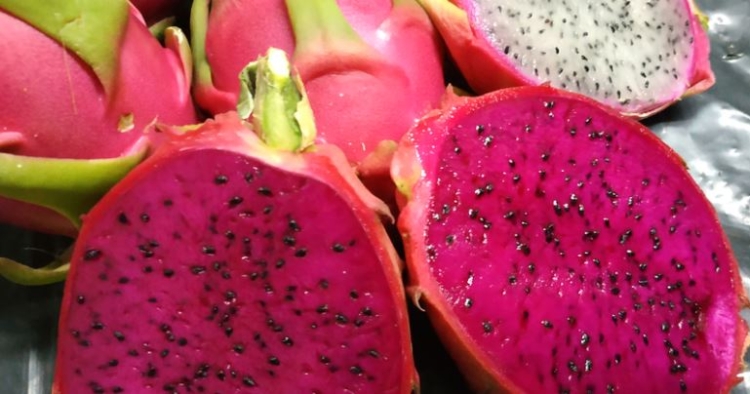 Pensando en producir cada vez con menos agua, van ganando terreno frutas provenientes de los cactus como la pitaya