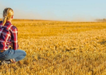 Córdoba lanzó un programa de empleo y capacitación para lograr 1000 nuevos puestos de trabajo en el sector agropecuario ¿De qué se trata?