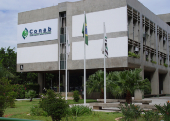 Brasil ajusta a la baja la estimación de cosecha de trigo y reconoce que deberá incrementar las importaciones