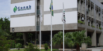 Brasil ajusta a la baja la estimación de cosecha de trigo y reconoce que deberá incrementar las importaciones