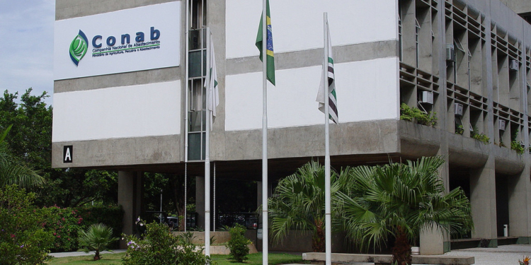 Brasil ajusta a la baja la estimación de cosecha de trigo y reconoce que deberá incrementar las importaciones