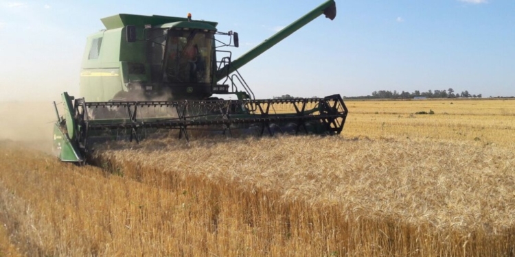 La Federación de Contratistas pretende una tarifa de 9.000 $/ha para un trigo de 42 quintales, pero el mercado paga menos de esa cifra