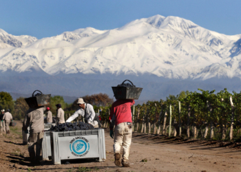 Hoy es el Día Nacional del Vino y te contamos porqué hay que festejar la promoción 3×2